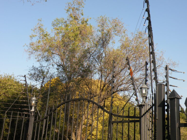 Home Electric Fence Africa